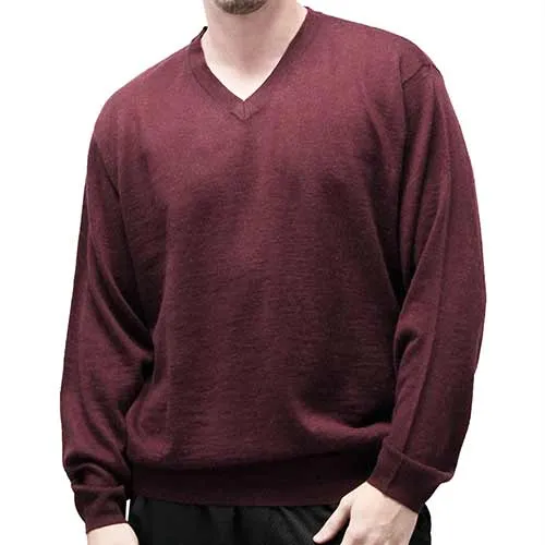 Cellinni Men's Solid V Neck Sweater - Big and Tall 6800-501