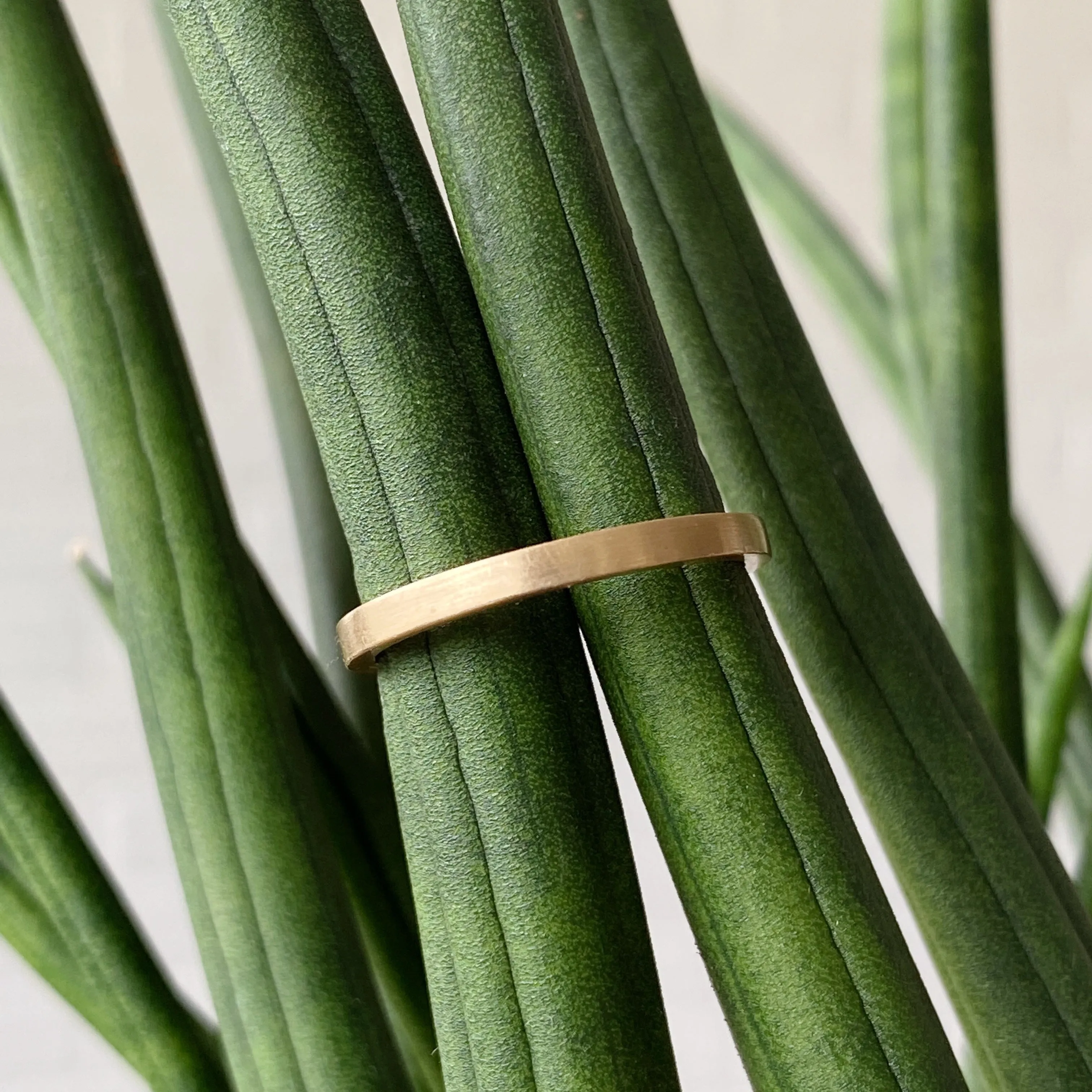 Diablo Flat Band - 14k yellow gold - 2mm - size 7