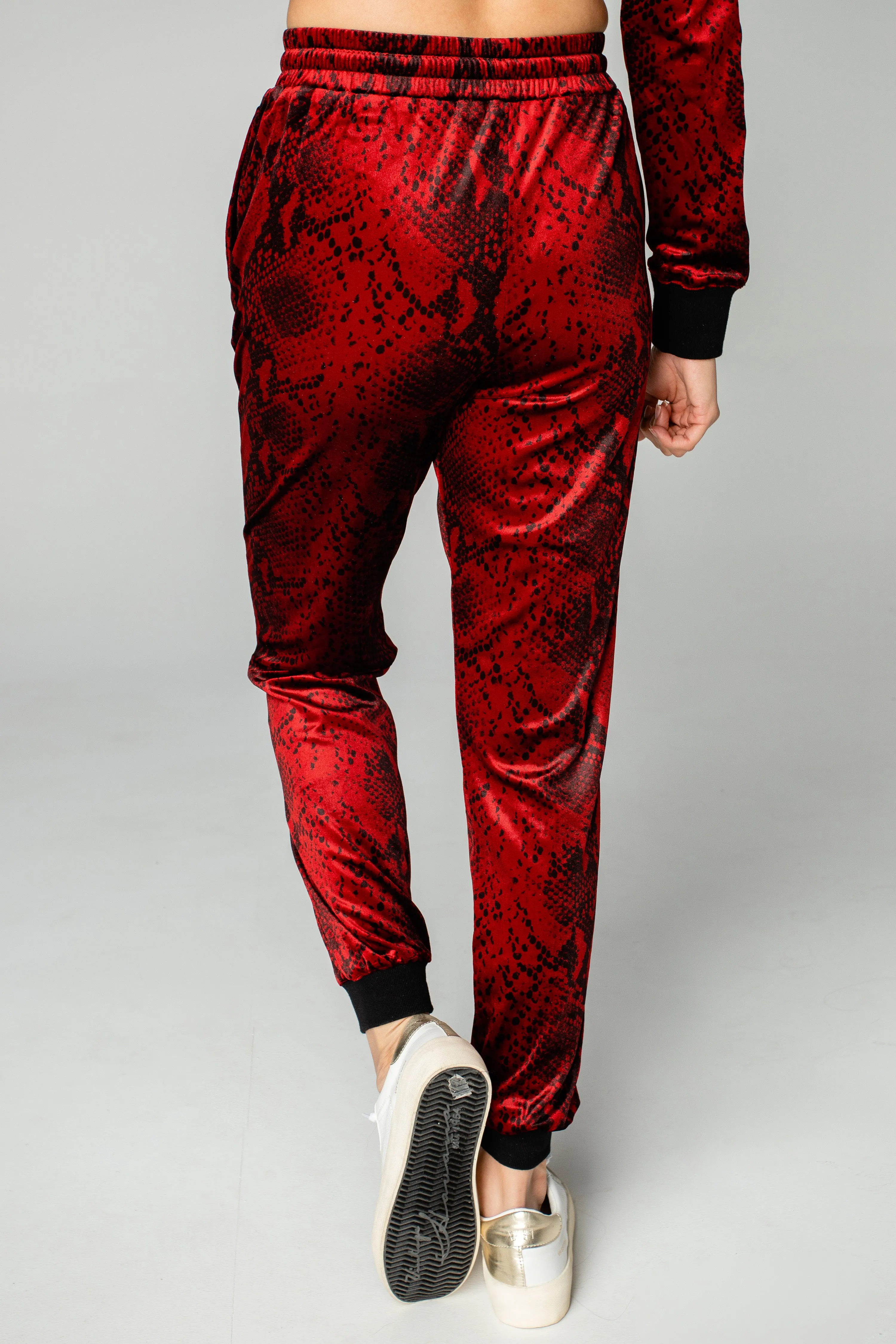 Meadow Velour Joggers - Lava Rock