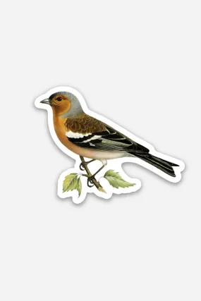 Stoic Finch - Gap Filler Sticker